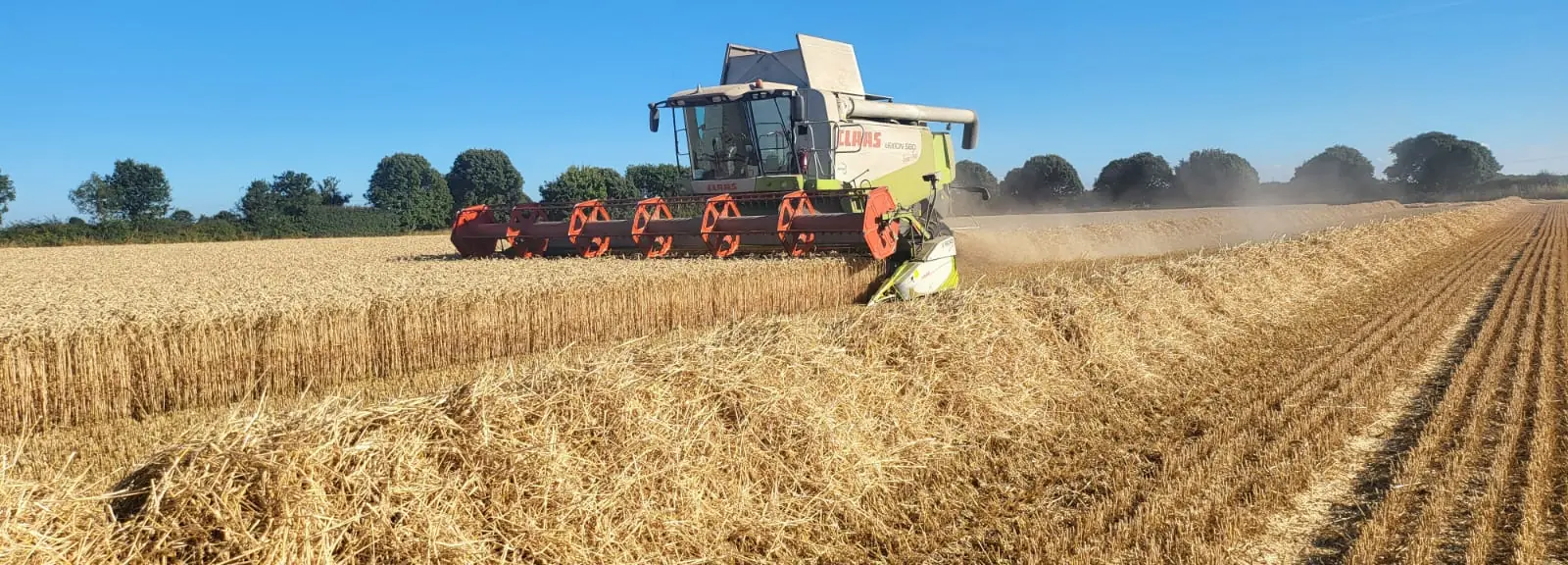 Claas Lexion 580 TT